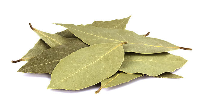 Bay Leaf (பிரியாணி இலை)