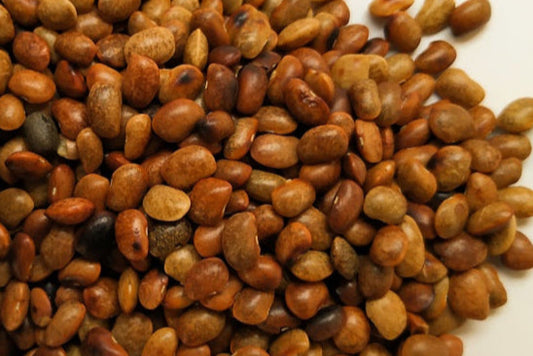 Horsegram (கொள்ளு)